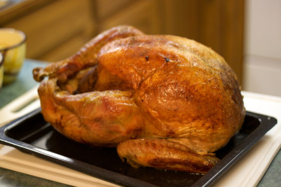 Talking Turkey and Other Thanksgiving Tidbits