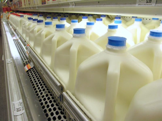 Supermarket milk case
