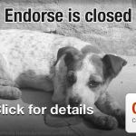 Endorse Goes Dark: Coupon App Suddenly Shuts Down