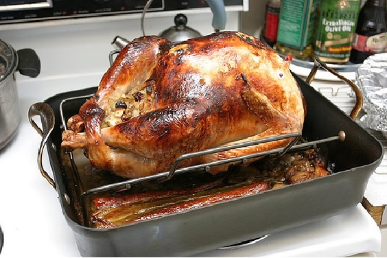 Thanksgiving turkey