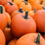 Pumpkin Foes Offer Coupons, in Pumpkin Spice Backlash