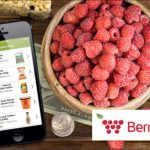 BerryCart, the Healthy Rebate App, Shuts Down