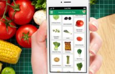 Coupons Are Crucial For Online Grocery Shoppers