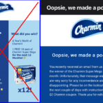 Charmin Contest Winners See Their Prizes Go Down The Drain