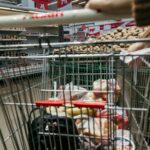 Stressed-Out Shoppers Still Like Going To The Grocery Store