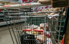 Stressed-Out Shoppers Still Like Going To The Grocery Store